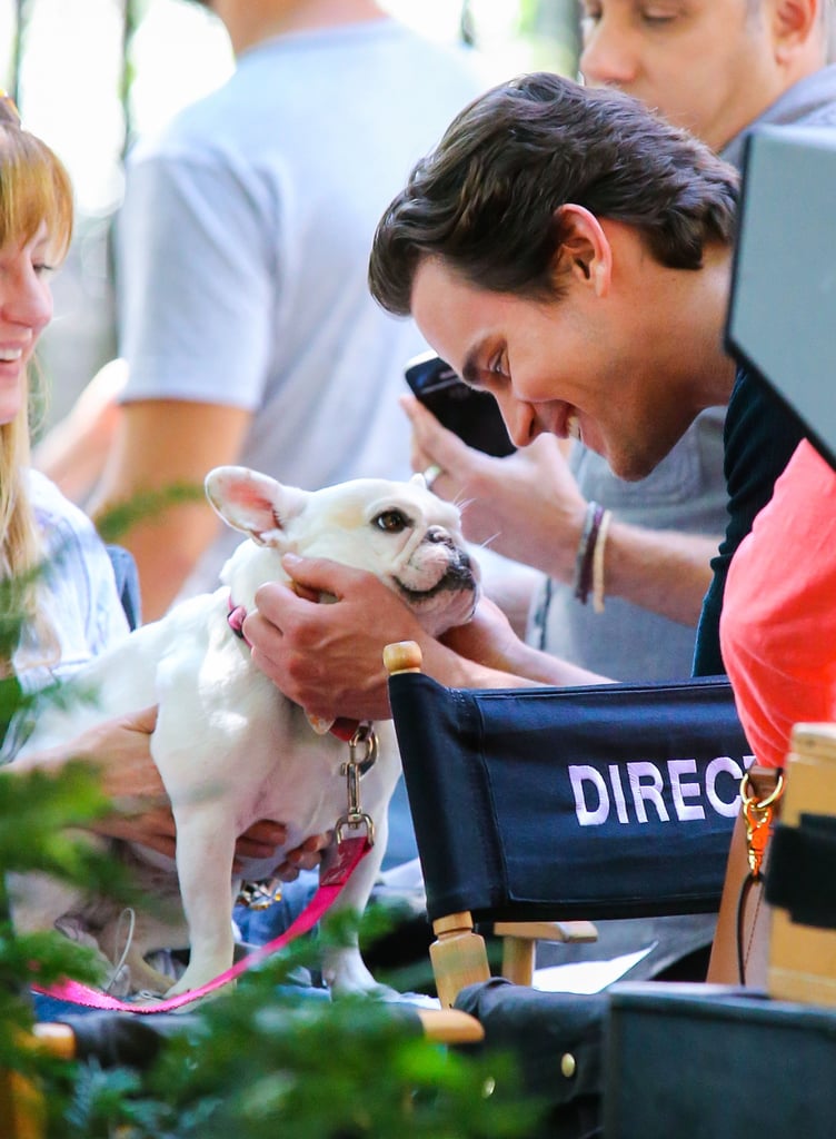Matt Bomer snuggled with an adorable French Bulldog on the set of White Collar in NYC in August 2013.
