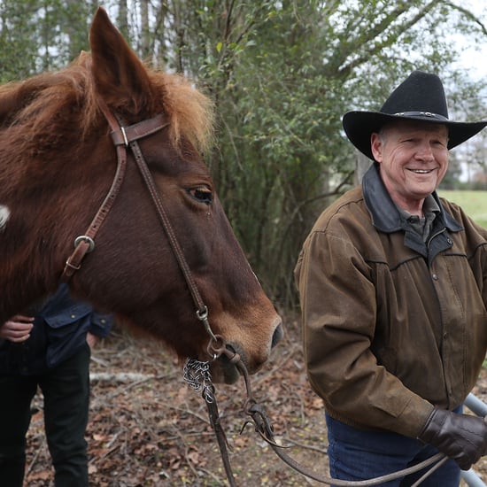 Roy Moore's Horse Sassy Parody Twitter Account