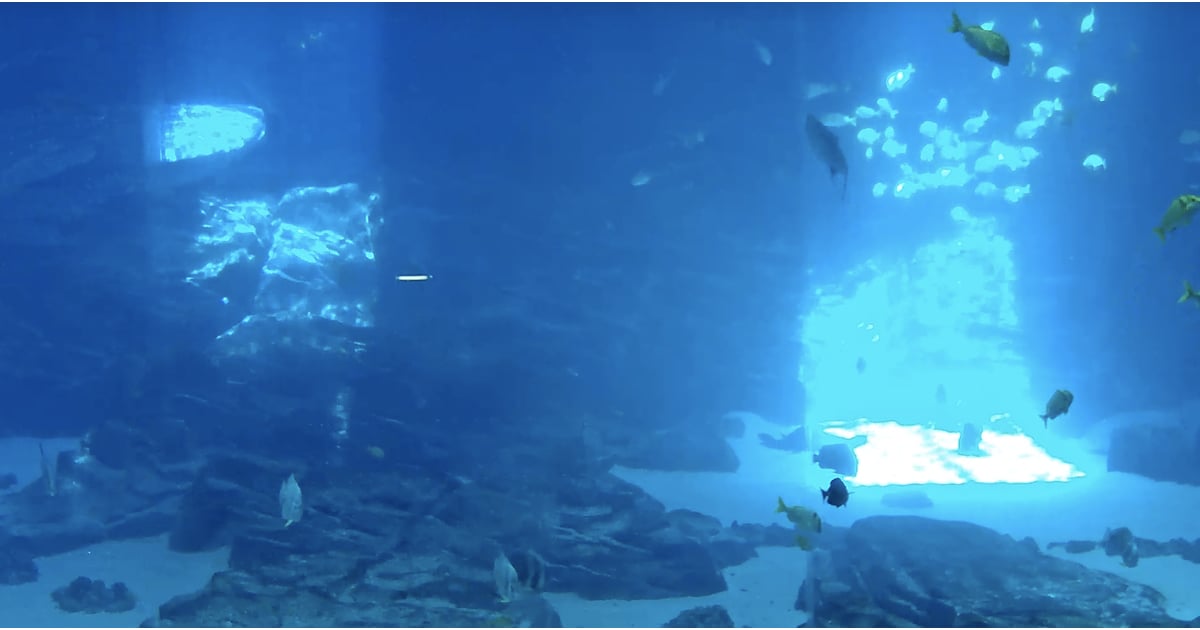 virtual tour of aquarium