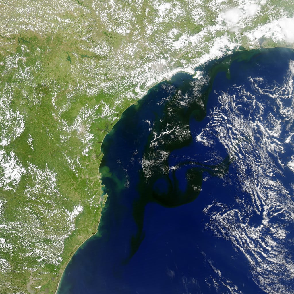 On Jan. 19, 2014, a camera on NASA’s Aqua satellite took this photo of a bloom of microscopic organisms off the southeastern coast of Brazil. The dark patches are the waters of the South Atlantic stretching as much as 500 miles from south to northeast. The strands of white are clouds.
Source: Jesse Allen/NASA