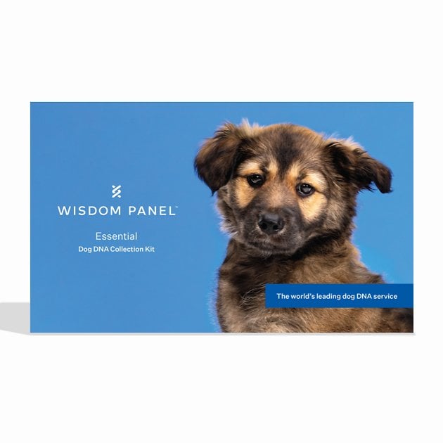 Wisdom Panel Essential Breed Identification DNA Test for Dogs