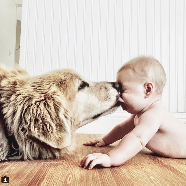 Photos Of Baby Boy And Pet Golden Retriever Popsugar Family