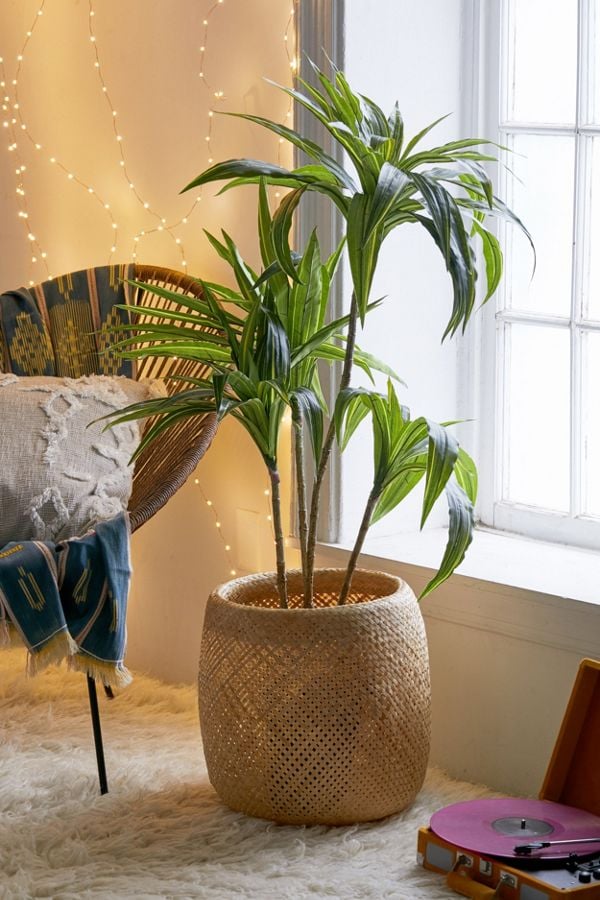 Dracena Potted Faux Tree Best Fake Plants That Look Real POPSUGAR Home Photo 60