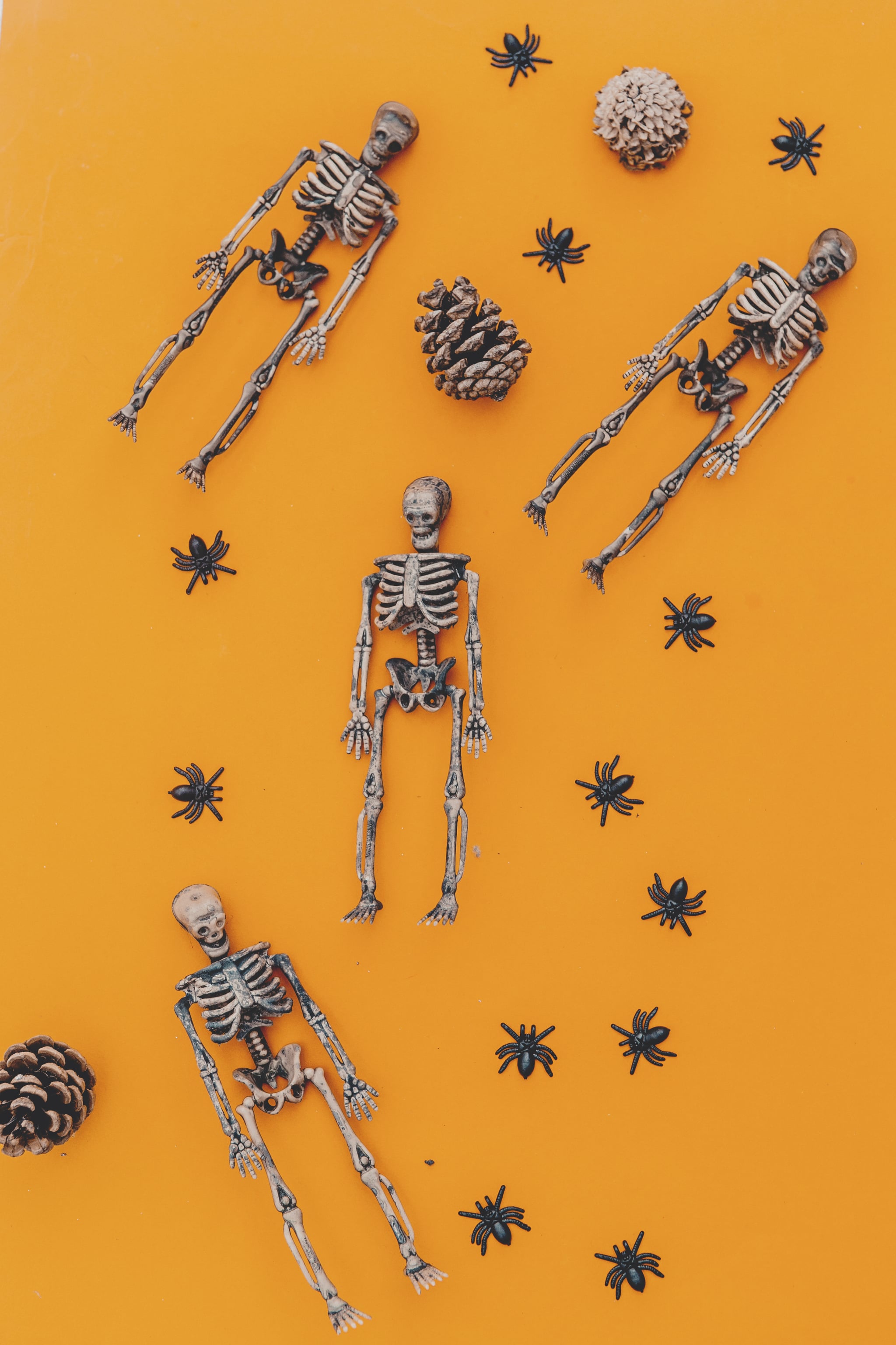 ܓ100 Aesthetic Skull  Android iPhone Background    png  jpg  2021 Black Skeleton HD phone wallpaper  Pxfuel