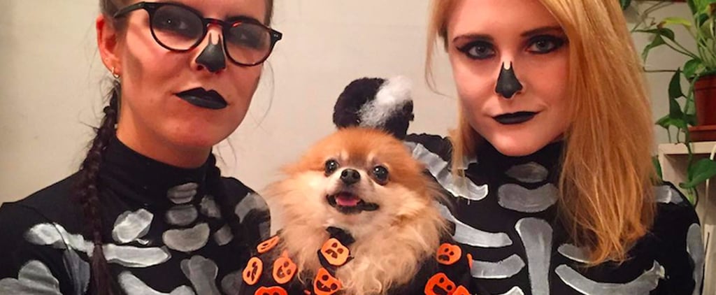 David S. Pumpkins Dog Costume