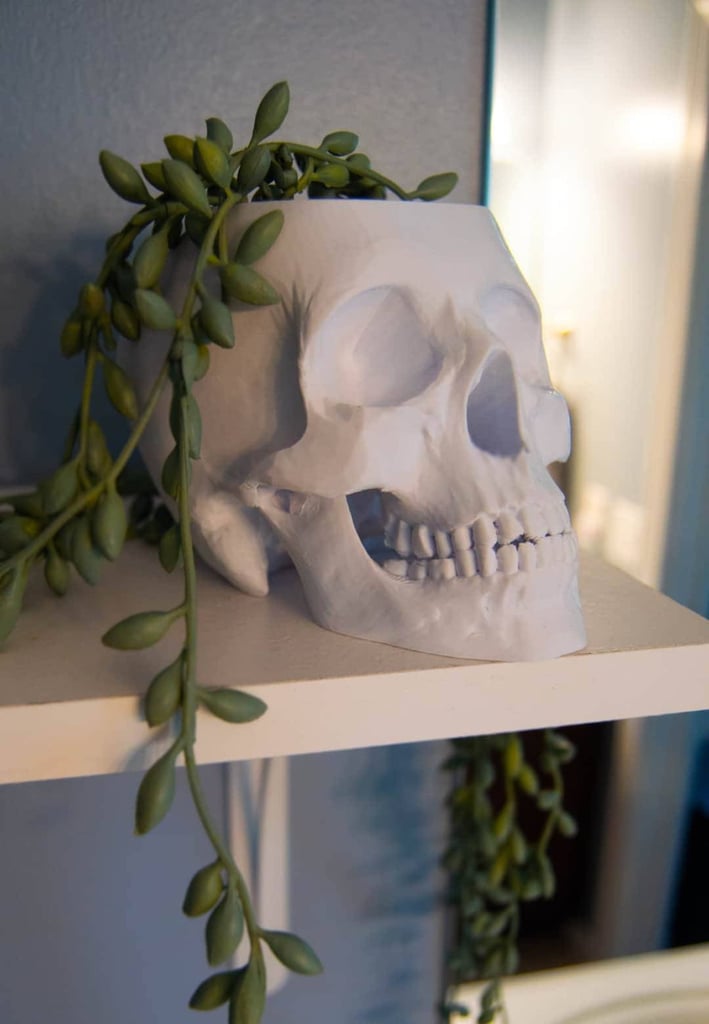 Human Skull Planter Pot