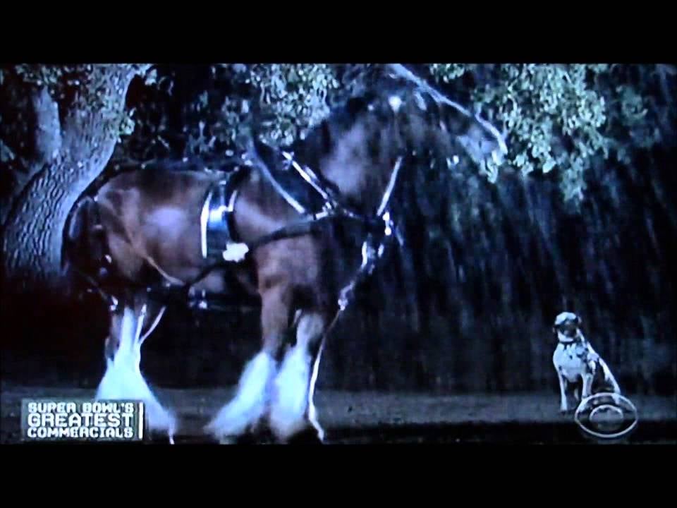 The Best Budweiser Clydesdale and Dog Commercials POPSUGAR Food
