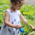 Growing a Garden With Kids Teaches Them More Than Healthy Eating Habits