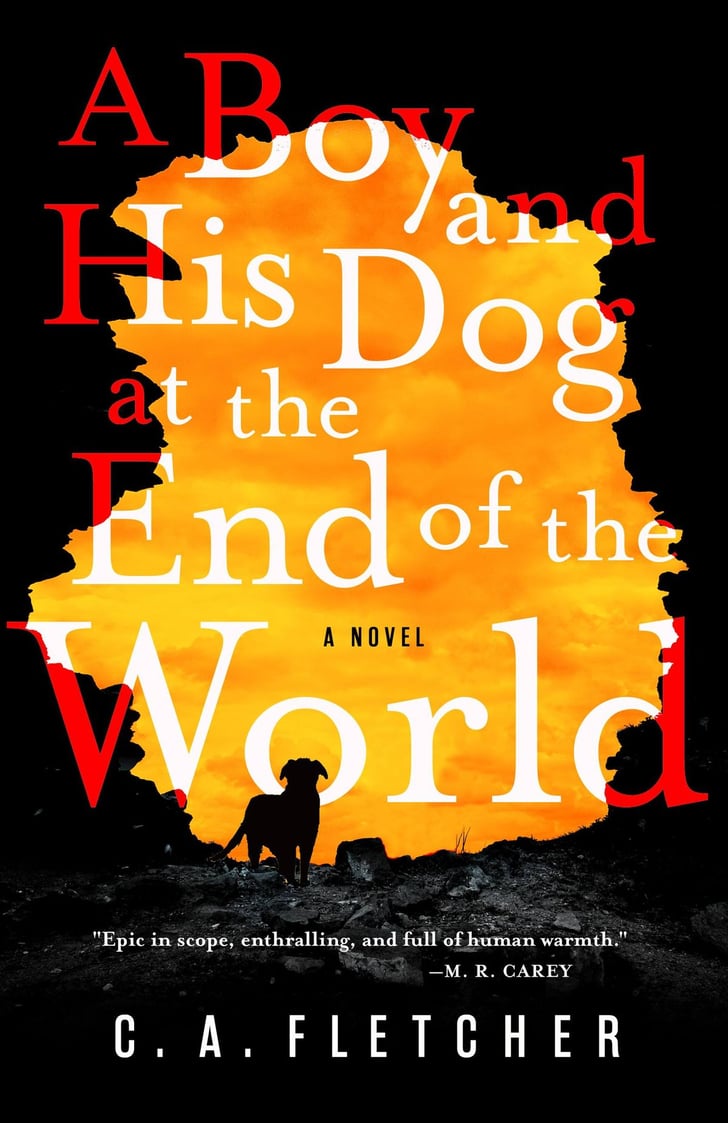 A Book With More Than 20 Letters In Its Title Take The 2020 POPSUGAR Reading Challenge 