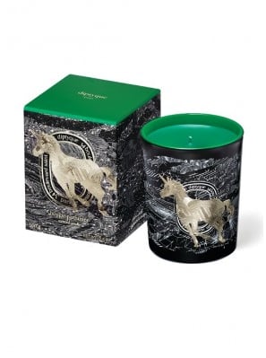 For the Unicorn in Your Life