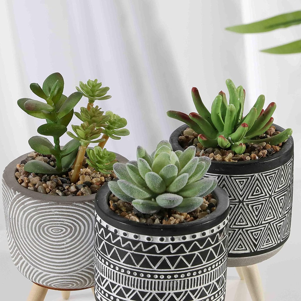 Faux Succulents on Amazon That Add Greenery Without the Maintenance
