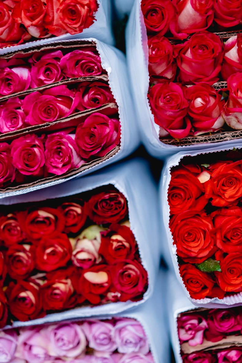 Valentine's Day Wallpaper: Pink and Red Roses