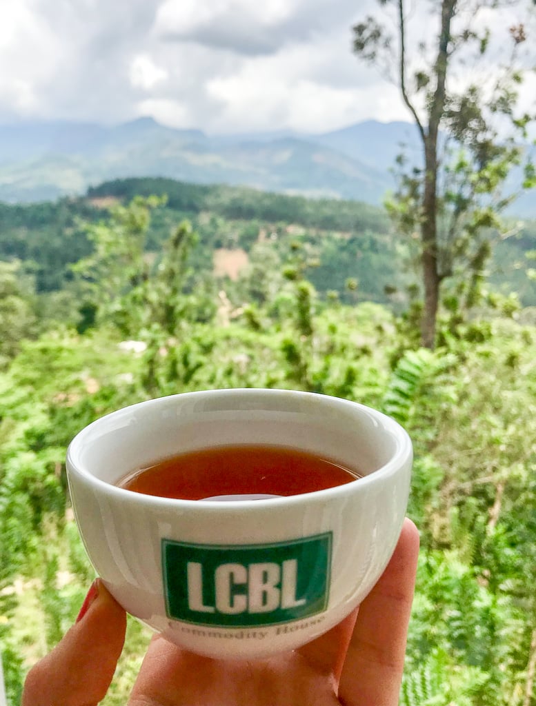 Ceylon Tea | Best Things to Do in Sri Lanka | POPSUGAR Smart Living