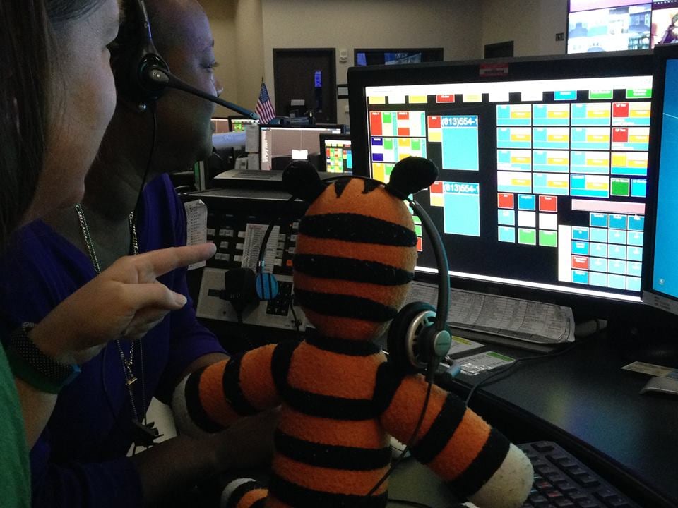 Boy Leaves His Tiger in an Airport and It Goes on Adventure
