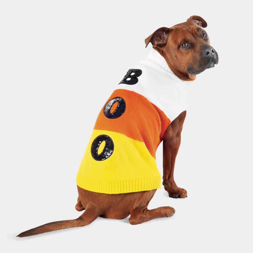 Best Target Pet Halloween Costumes 2019 POPSUGAR Pets