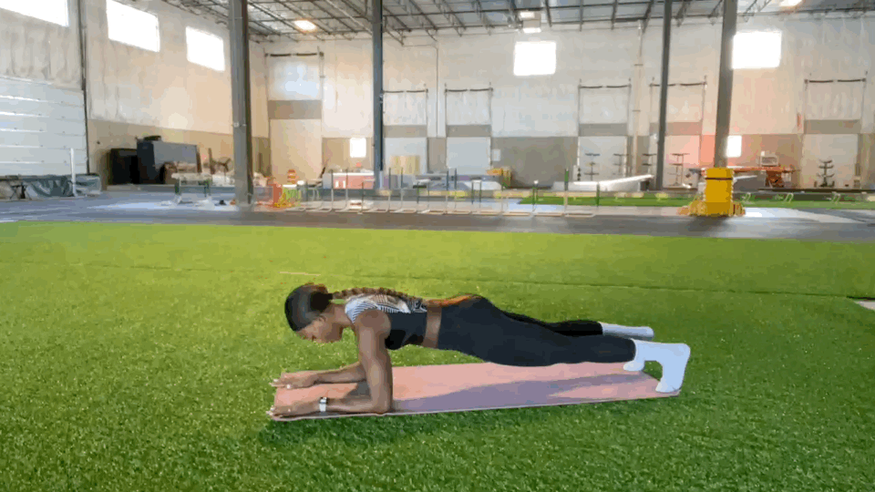 Circuit 2, Exercise 2: Elbow Plank With Leg Raise