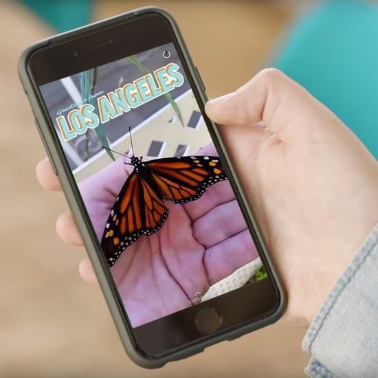 Snapchat Story Explorer