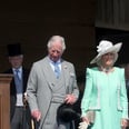 Look Out, Harry! A Bee Goes Rogue and Attacks the Prince at Charles's 70th Birthday