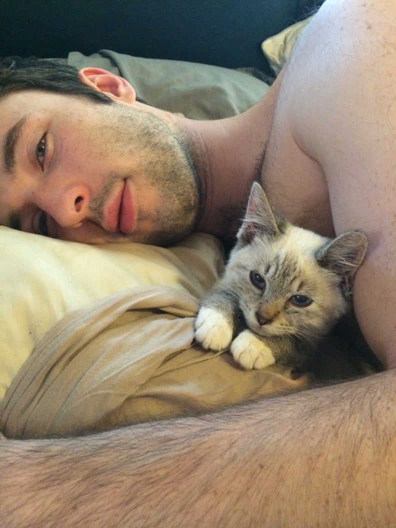Pillow-Loving Puss