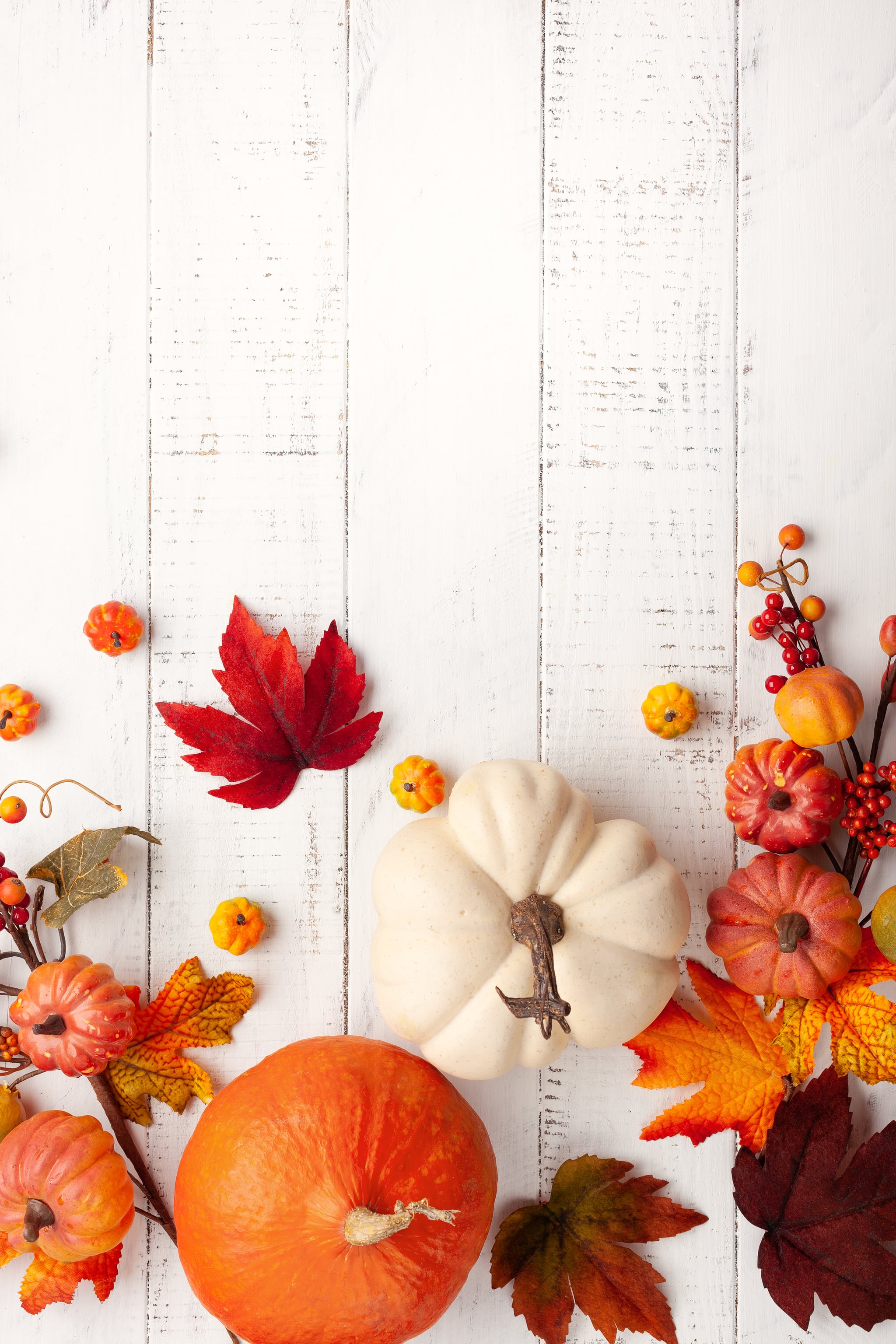 Fall Background: Gourds and Leaves iPhone Wallpaper | 50 Fall iPhone  Wallpapers That'll Instantly Make You Feel Cozy | POPSUGAR Tech Photo 20