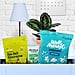Your Ultimate Guide to Dorm Room Snacking