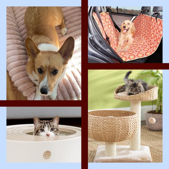 Best Products For Pet Owners
