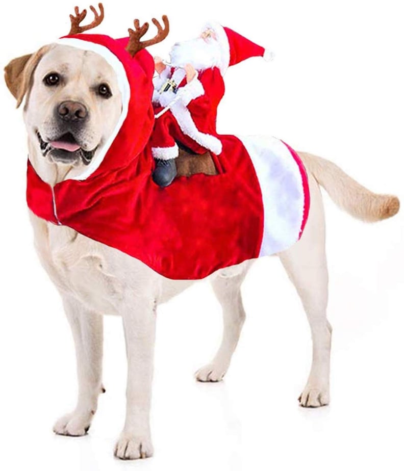 Dog Christmas Costume