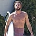 Shirtless Liam Hemsworth Pictures