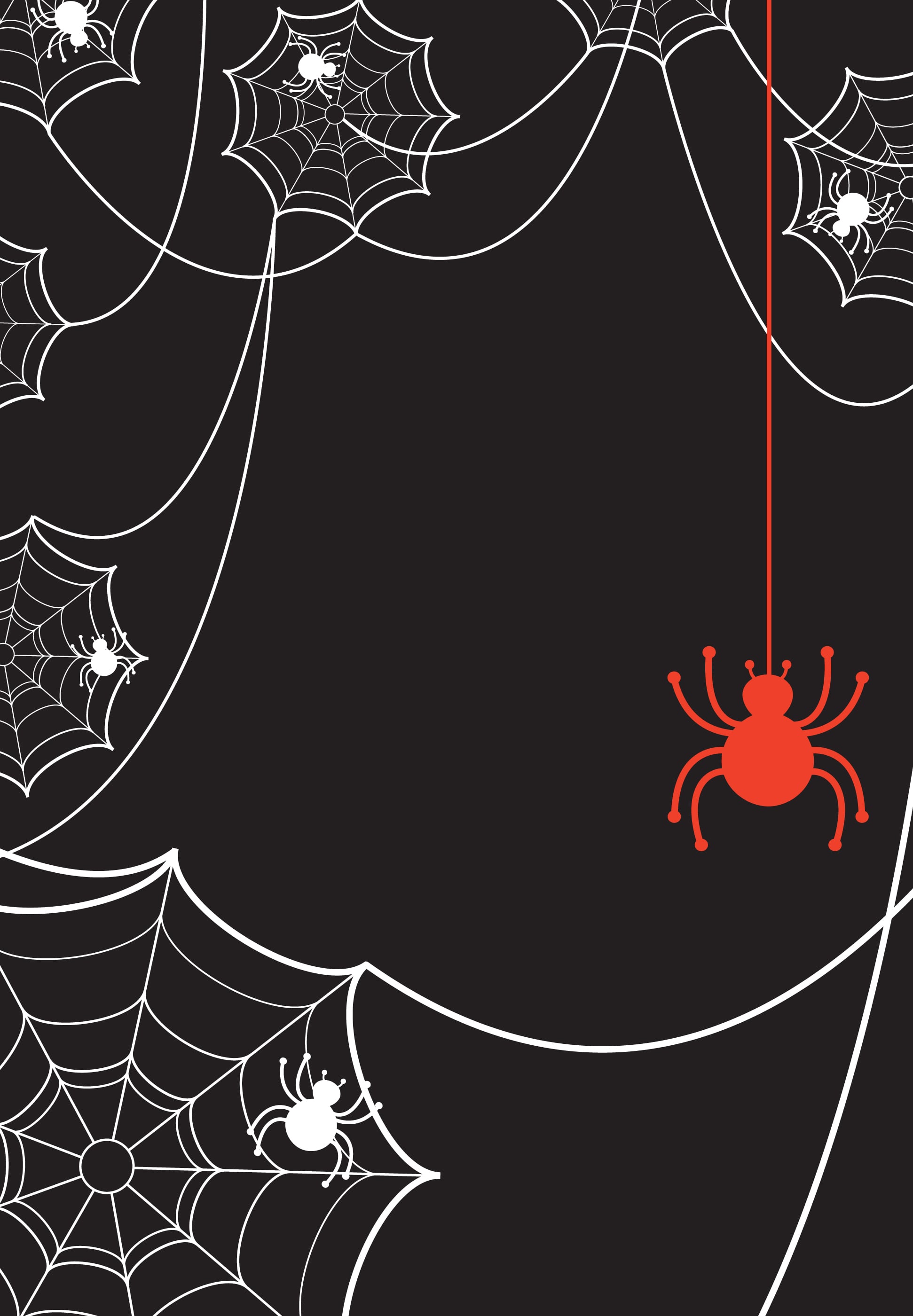 Spider spider web black widow HD phone wallpaper  Peakpx