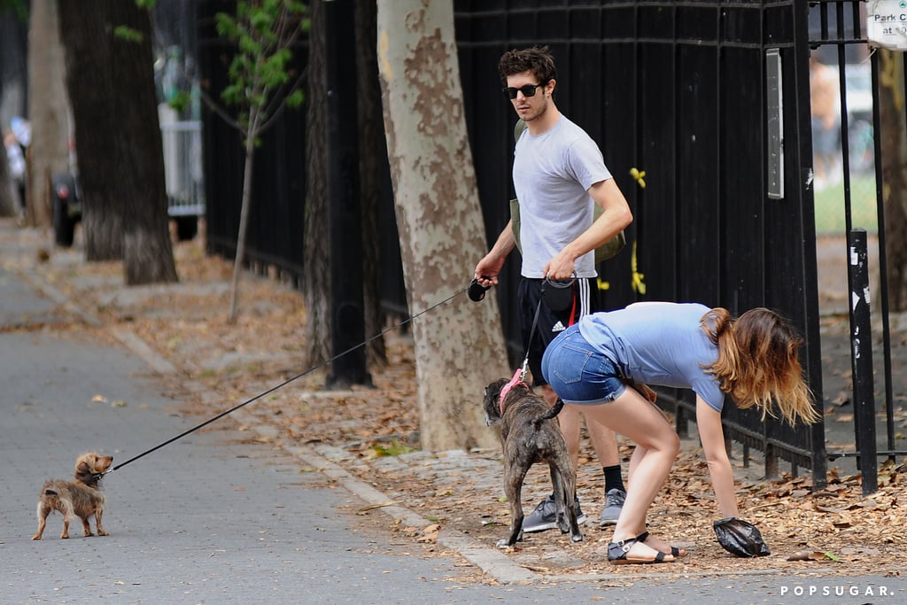 Leighton Meester and Adam Brody Walking Their Dogs in July