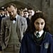 Harry Potter Cameos and Easter Eggs in Crimes of Grindelwald