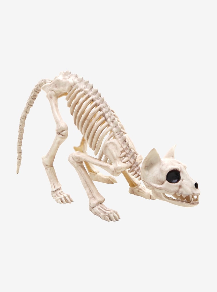 Skeleton Cat