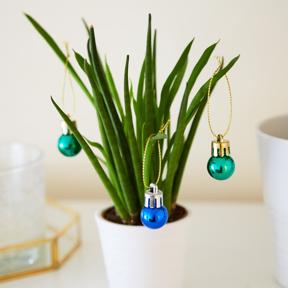 House plant christmas ornament clearance
