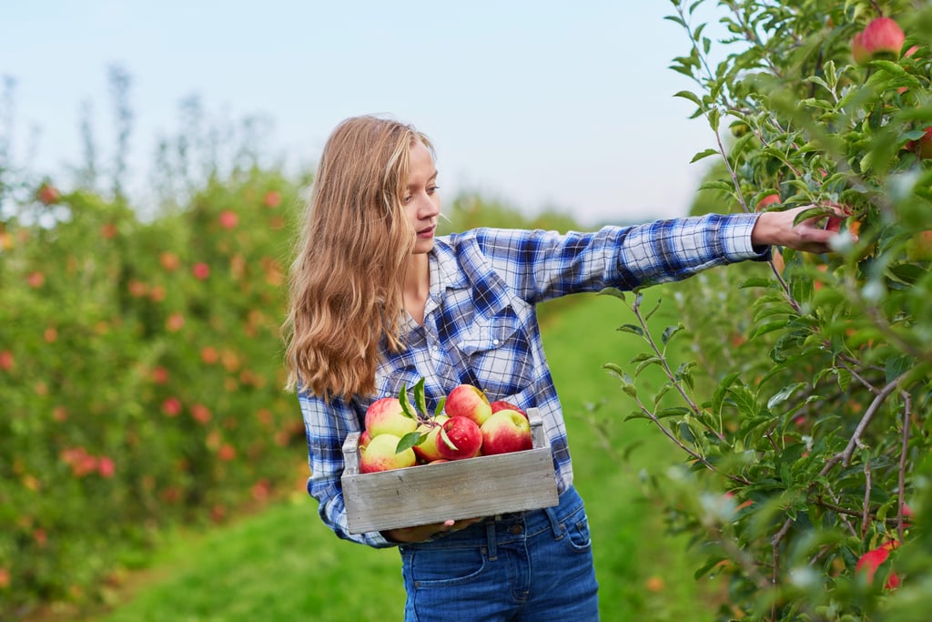 The Best Apple-Picking Instagram Captions For 2021