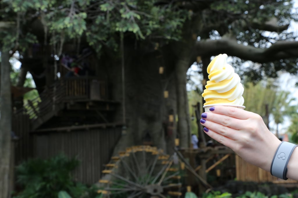 Citrus Swirl Cup ($6)