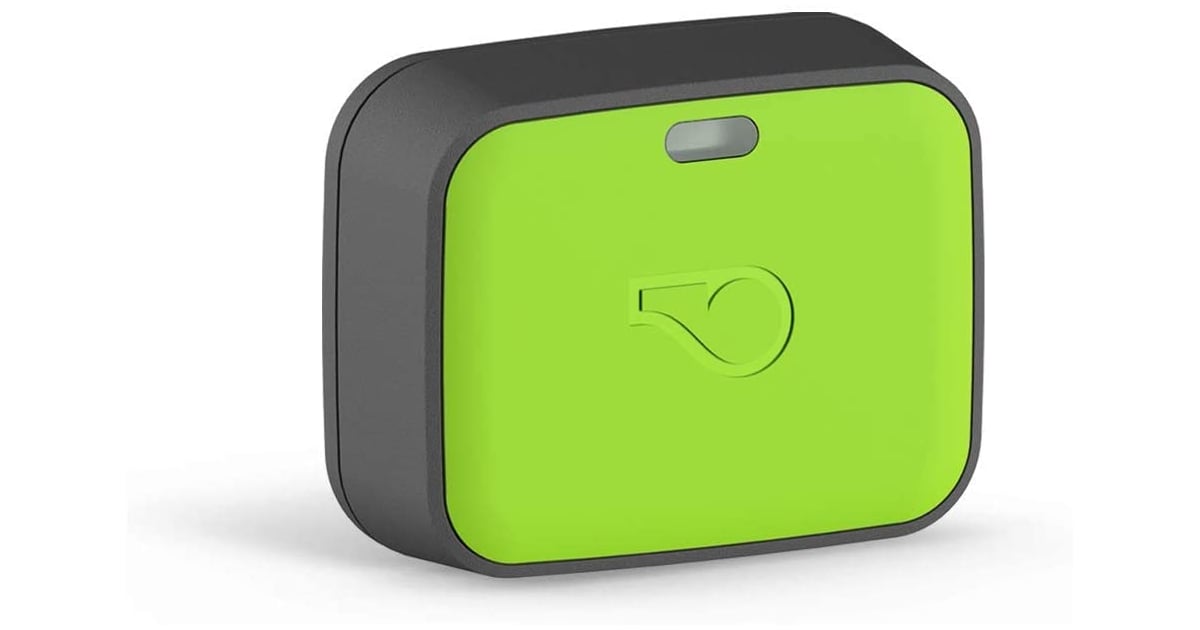 Whistle Go Explore Ultimate Health & Location Tracker for Pets Best