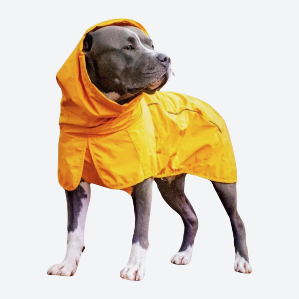Spark Paws Breatheshield Dog Raincoat