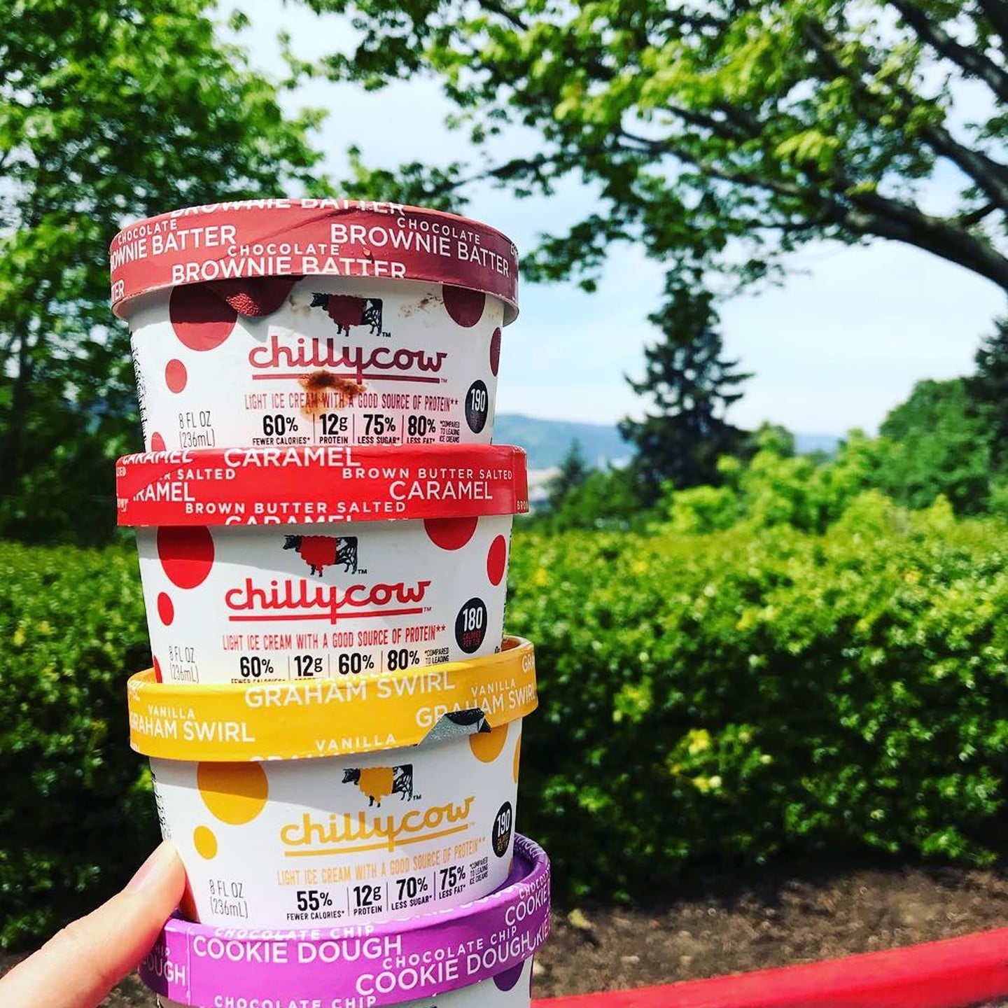 What Is Chilly Cow Ice Cream? | POPSUGAR Fitness