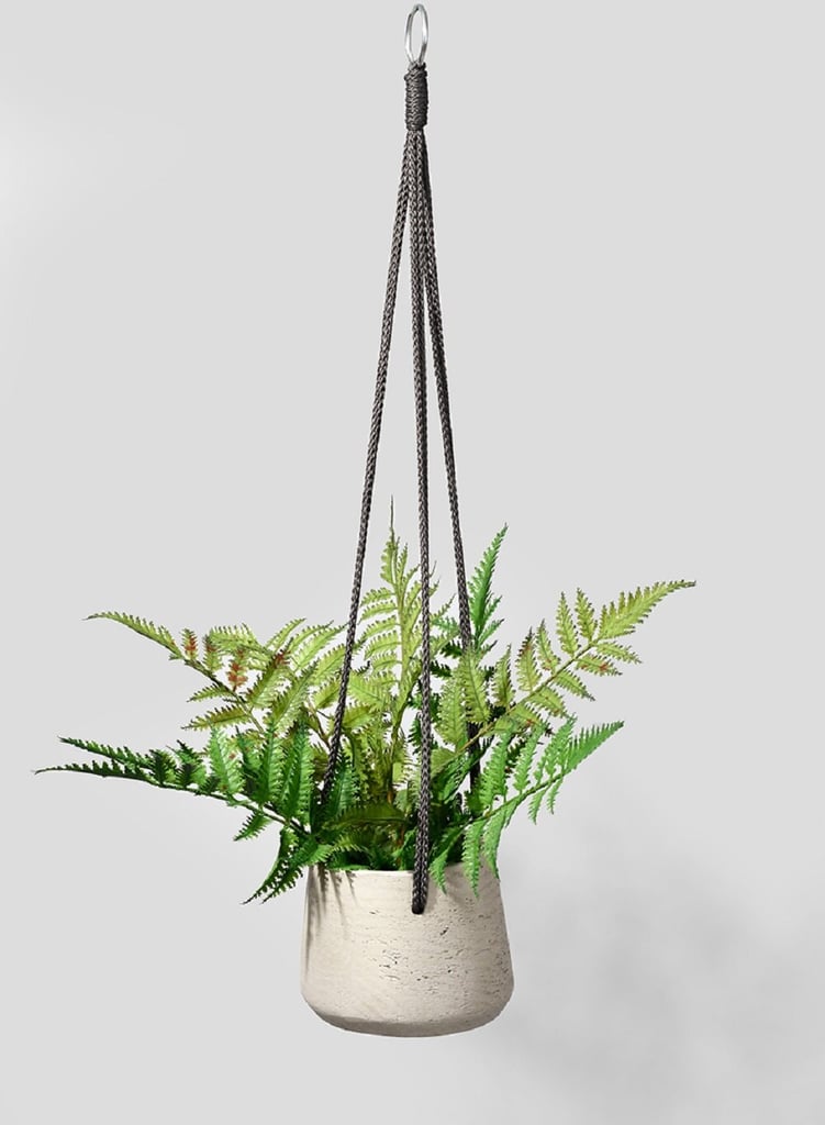 Gracie Oaks Refton Concrete Hanging Planter