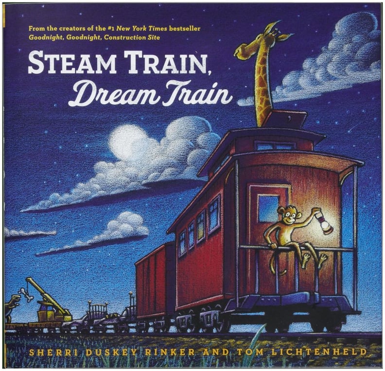 Steam Train, Dream Train