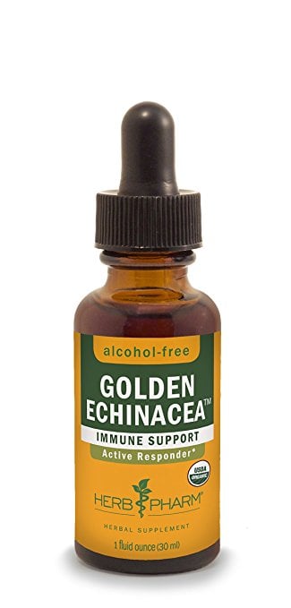 Echinacea