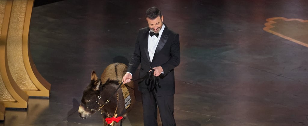 The Banshees of Inisherin Donkey Jenny Was Not at the Oscars