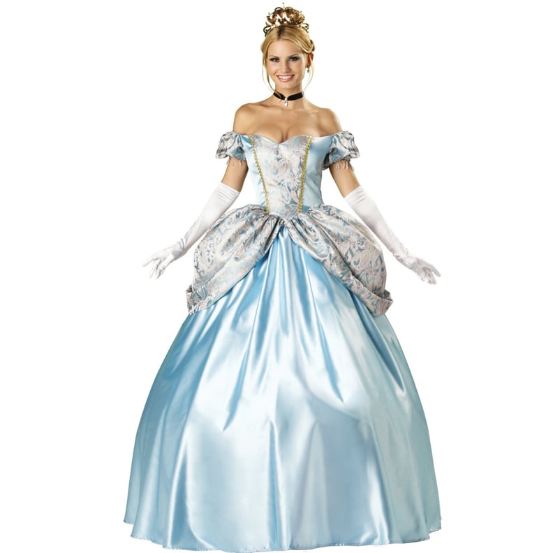 Cinderella Costume