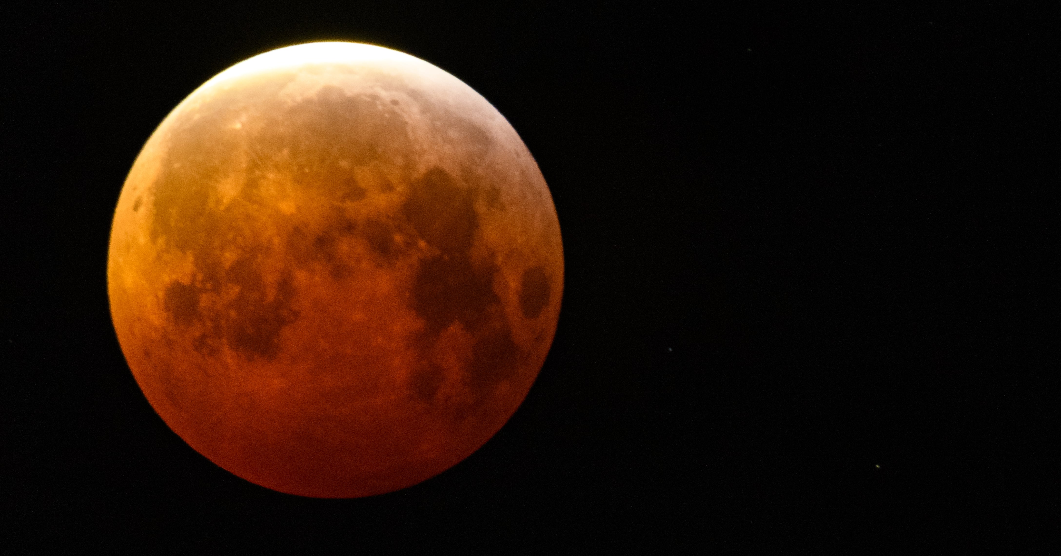January’s Wolf Moon Is Bringing Intense Change in 2024