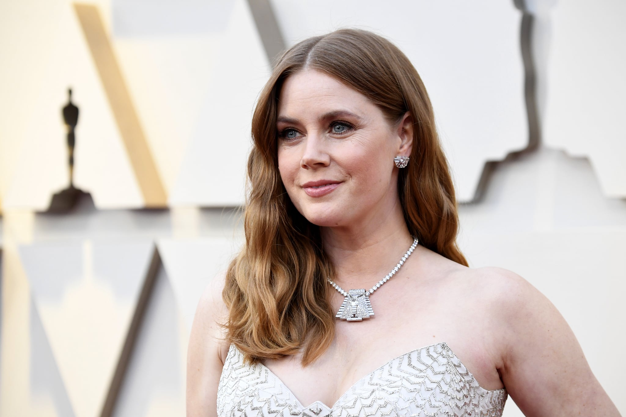 HOLLYWOOD, CALIFORNIA - FEBRUARY 24: Amy Adams attends the 91st Annual Academy Awards at Hollywood and Highland on February 24, 2019 in Hollywood, California. (Photo by Frazer Harrison/Getty Images)