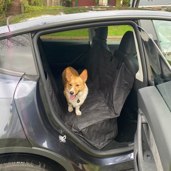 Active Pets Premium Dog Car Seat Cover​ Review