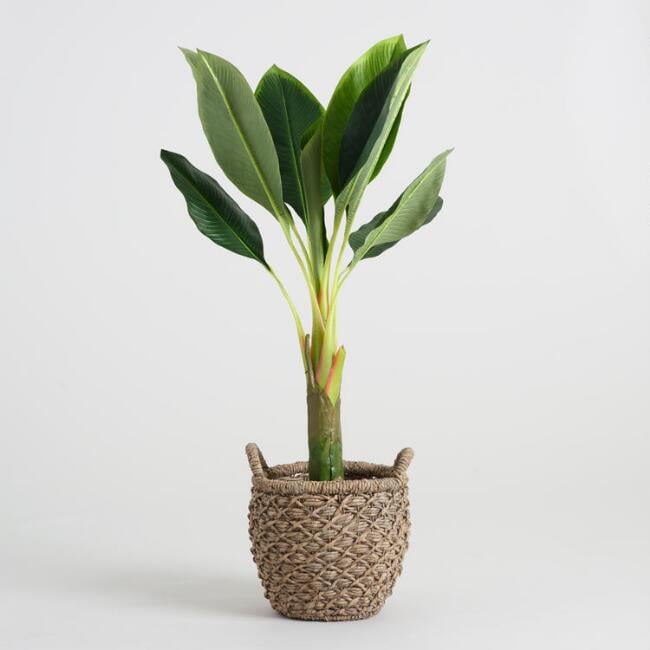 Faux SingleStalk Banana Tree Best Fake Plants That Look Real