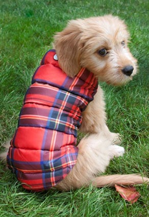 frisco reversible dog & cat plaid puffer coat