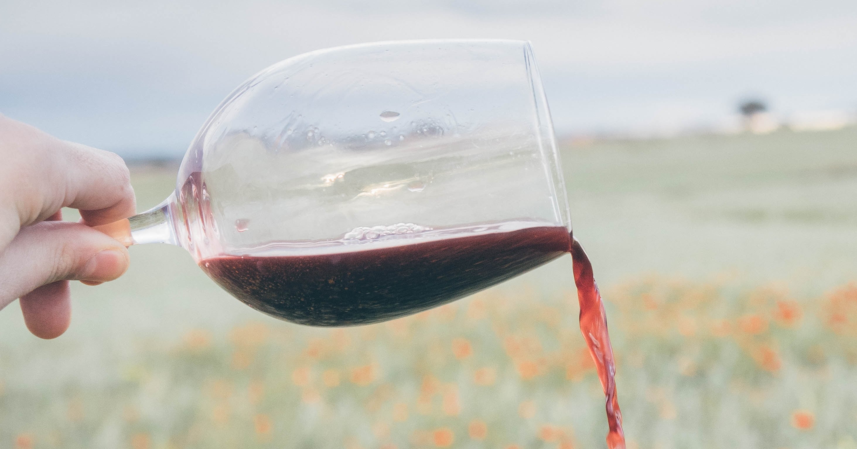 How to Get Out Red Wine Stains POPSUGAR Home