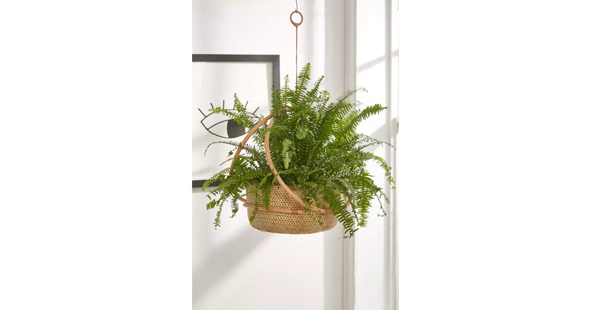 Something Hanging Margot Hanging Planter Best Planters and Vases
